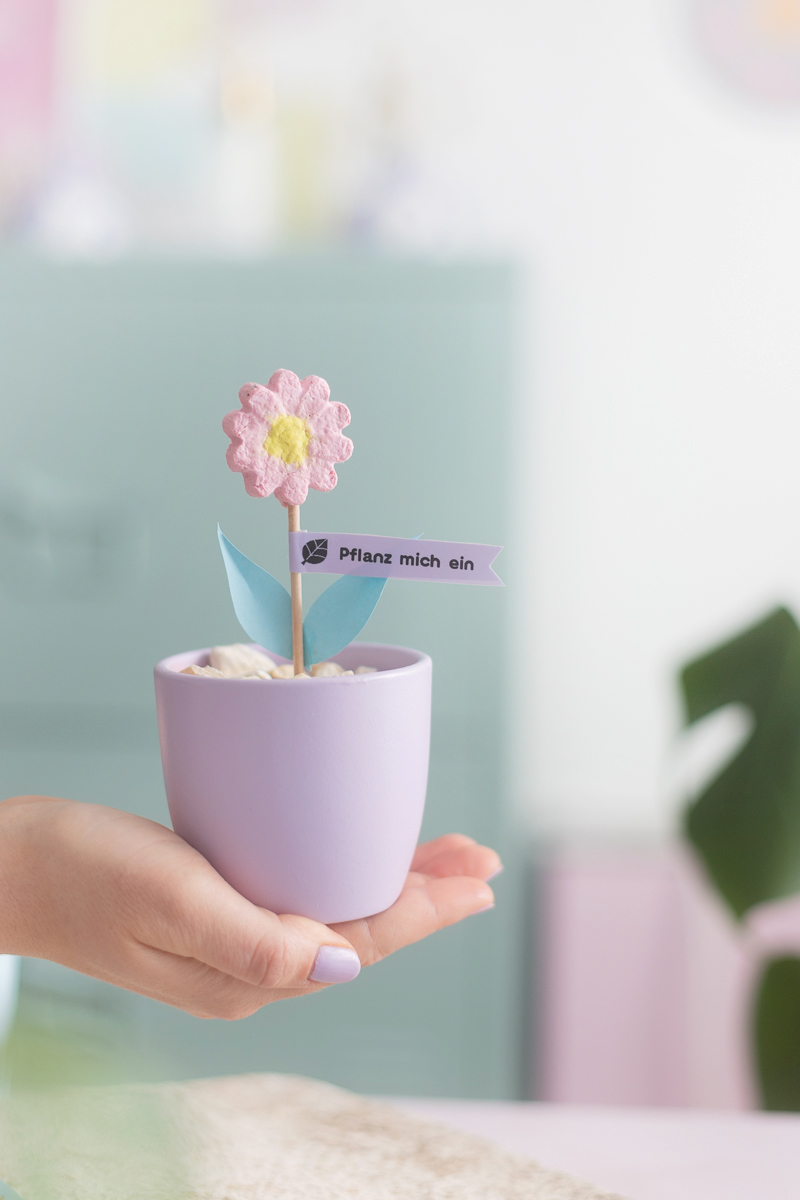 bastel geschenke